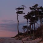 blaue Stunde am Weststrand