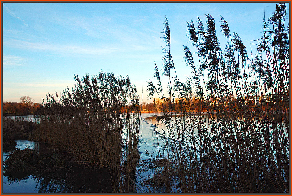 "Blaue Stunde" am winterlichen Aasee