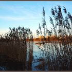 "Blaue Stunde" am winterlichen Aasee