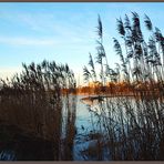 "Blaue Stunde" am winterlichen Aasee