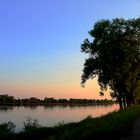 blaue stunde an der donau