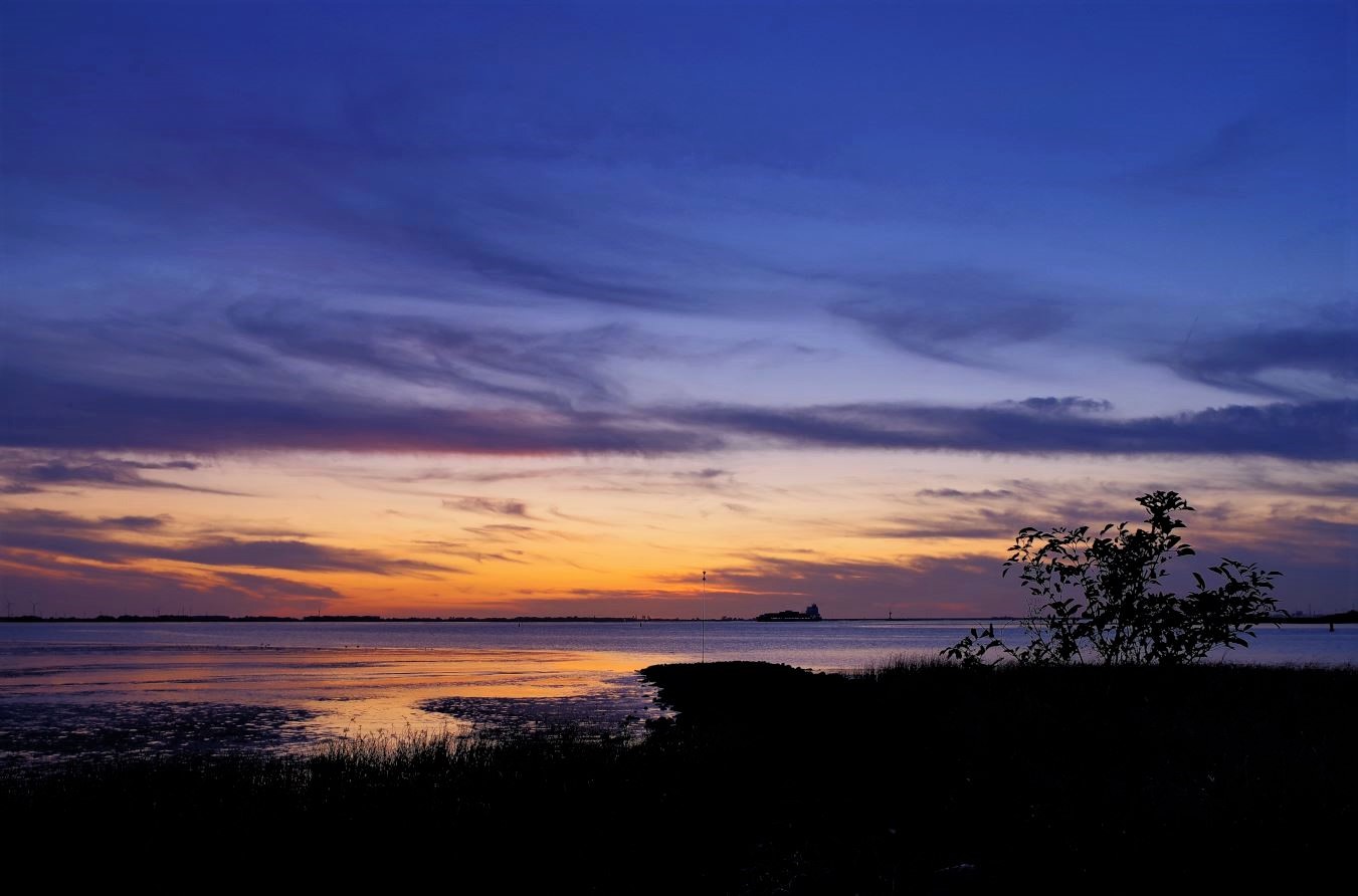 blaue Stunde an der Elbe