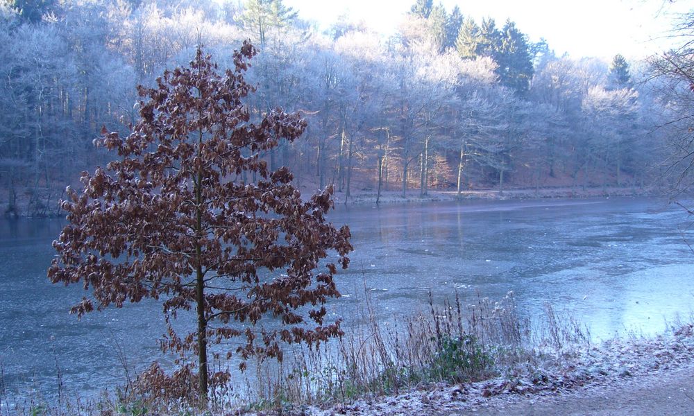 Blaue Stunde an der Fuelbecketalsperre von pusemukell 