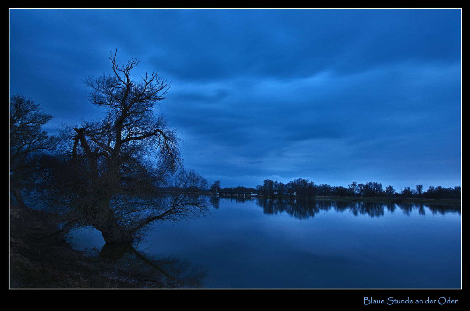 Blaue Stunde an der Oder