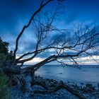 Blaue Stunde an der Ostseeküste