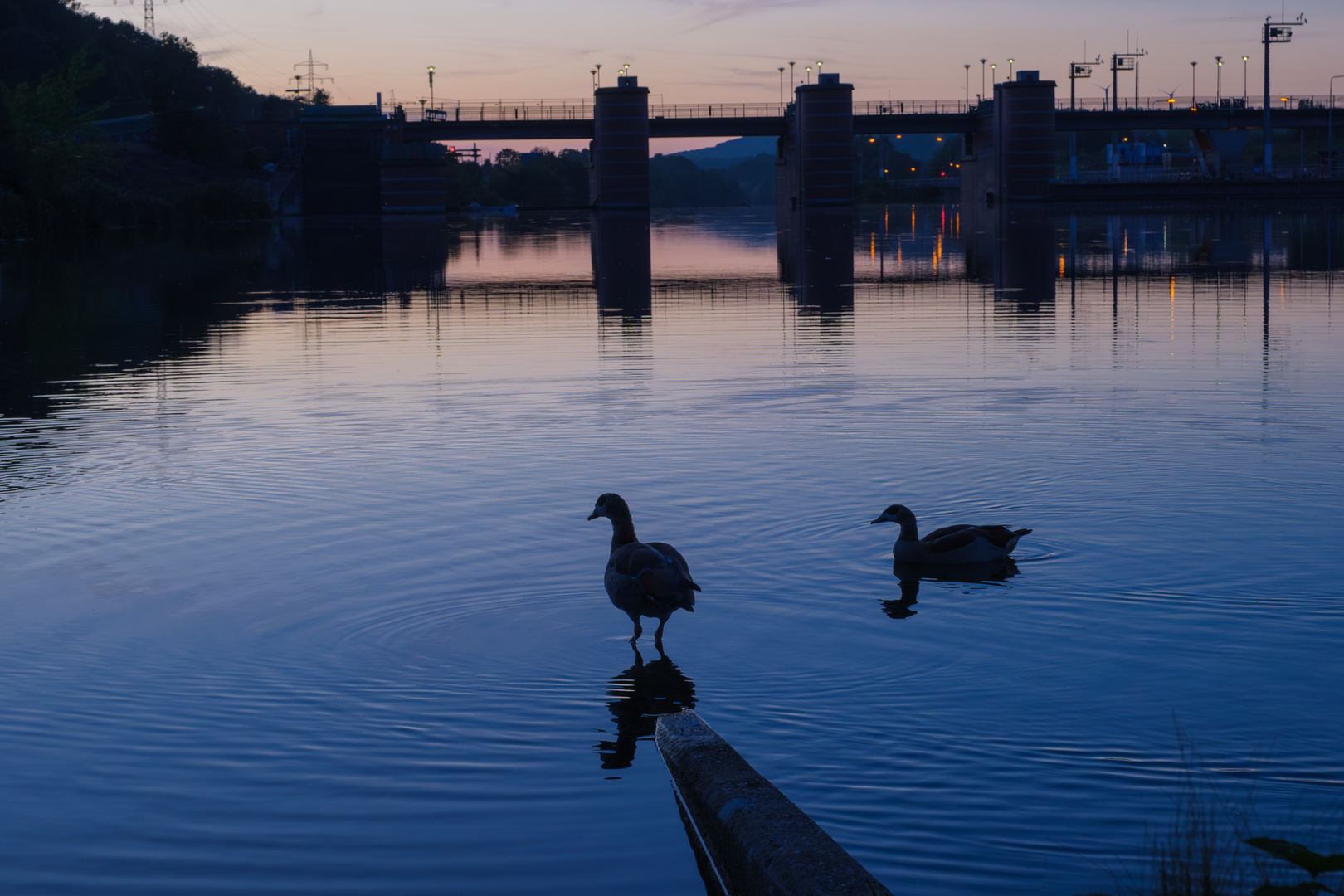 Blaue Stunde an der Saar