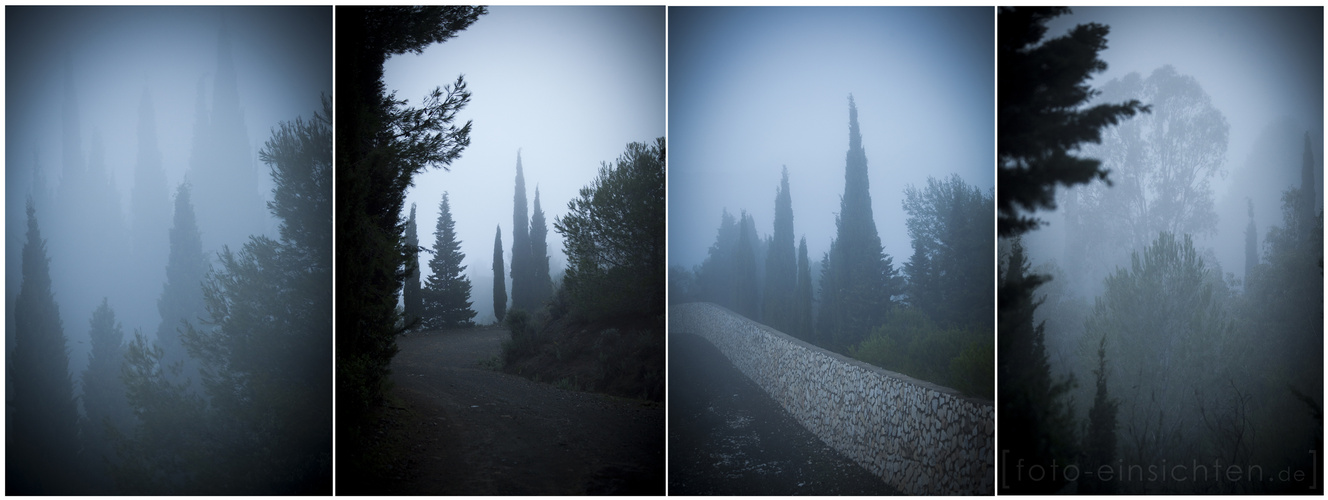 Blaue Stunde - Andalusien im Nebel