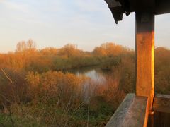 blaue Stunde auf dem Beobachtungsturm