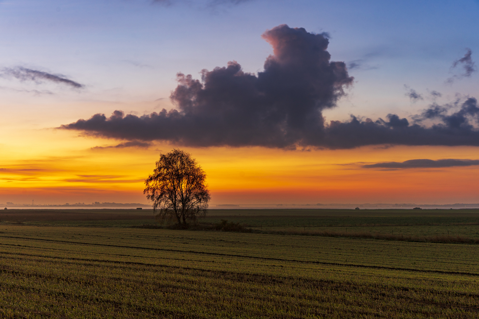 Blaue Stunde auf dem Darß