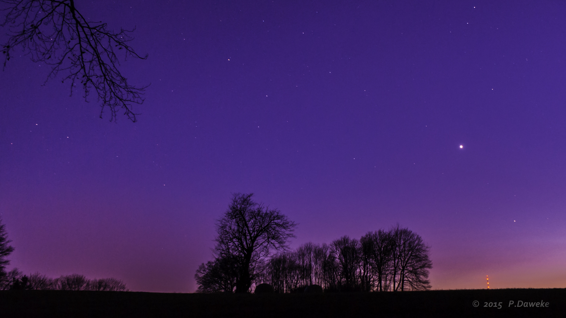 Blaue Stunde auf dem Feld