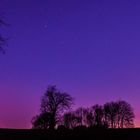 Blaue Stunde auf dem Feld