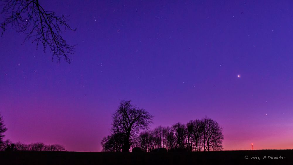 Blaue Stunde auf dem Feld