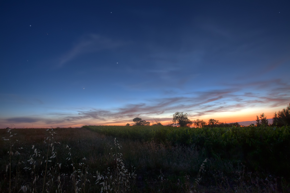 Blaue Stunde auf dem Feld