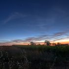 Blaue Stunde auf dem Feld