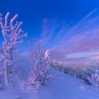 Blaue Stunde auf dem Inselsberg