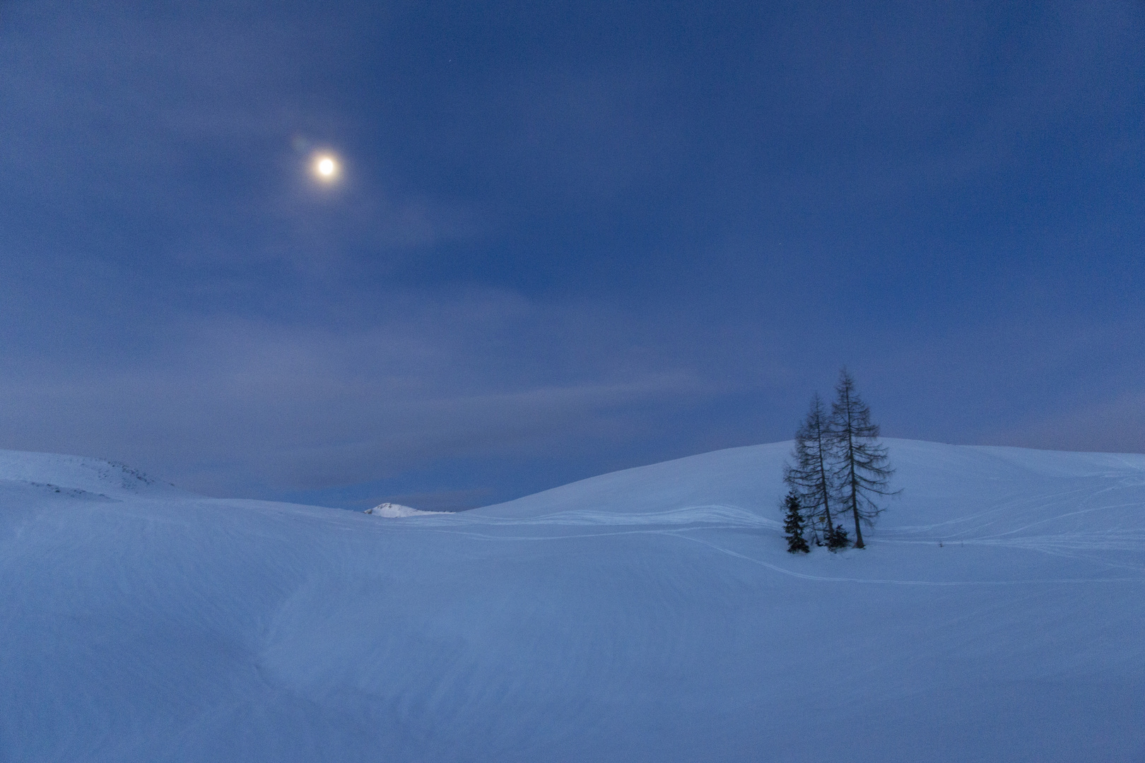 blaue Stunde auf der Alm