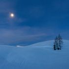 blaue Stunde auf der Alm