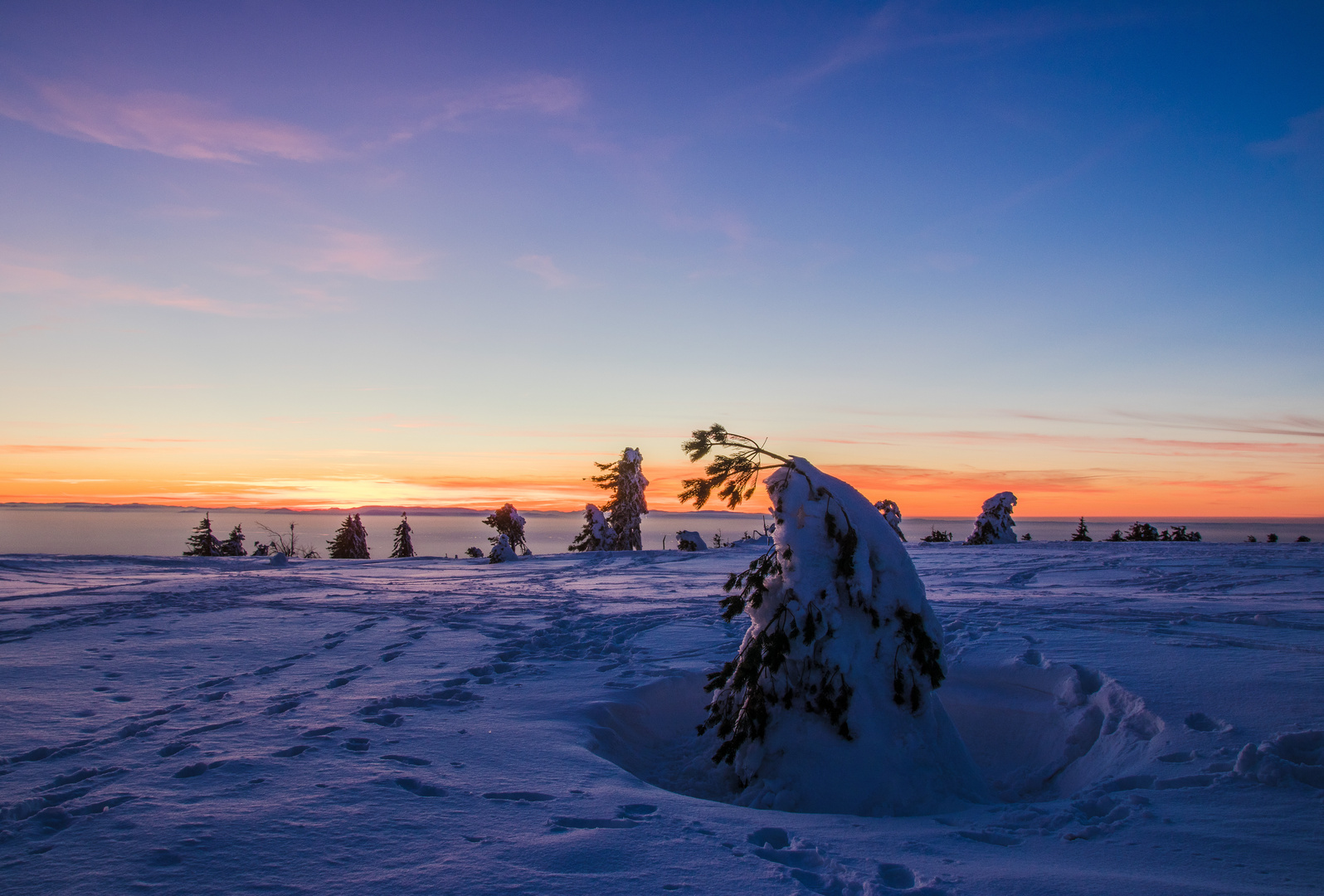 Blaue Stunde auf der Hornisgrinde