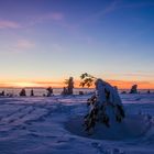 Blaue Stunde auf der Hornisgrinde