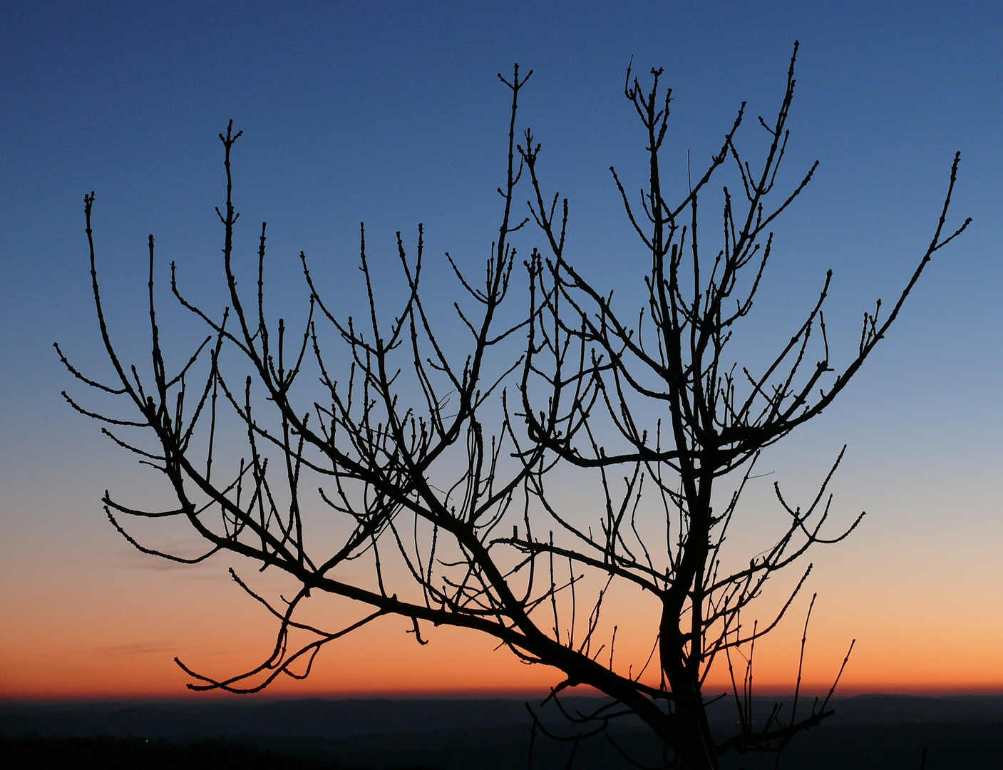 Blaue Stunde auf der Schwäbischen Alb