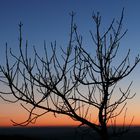 Blaue Stunde auf der Schwäbischen Alb