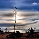 "Blaue Stunde" auf Djerba