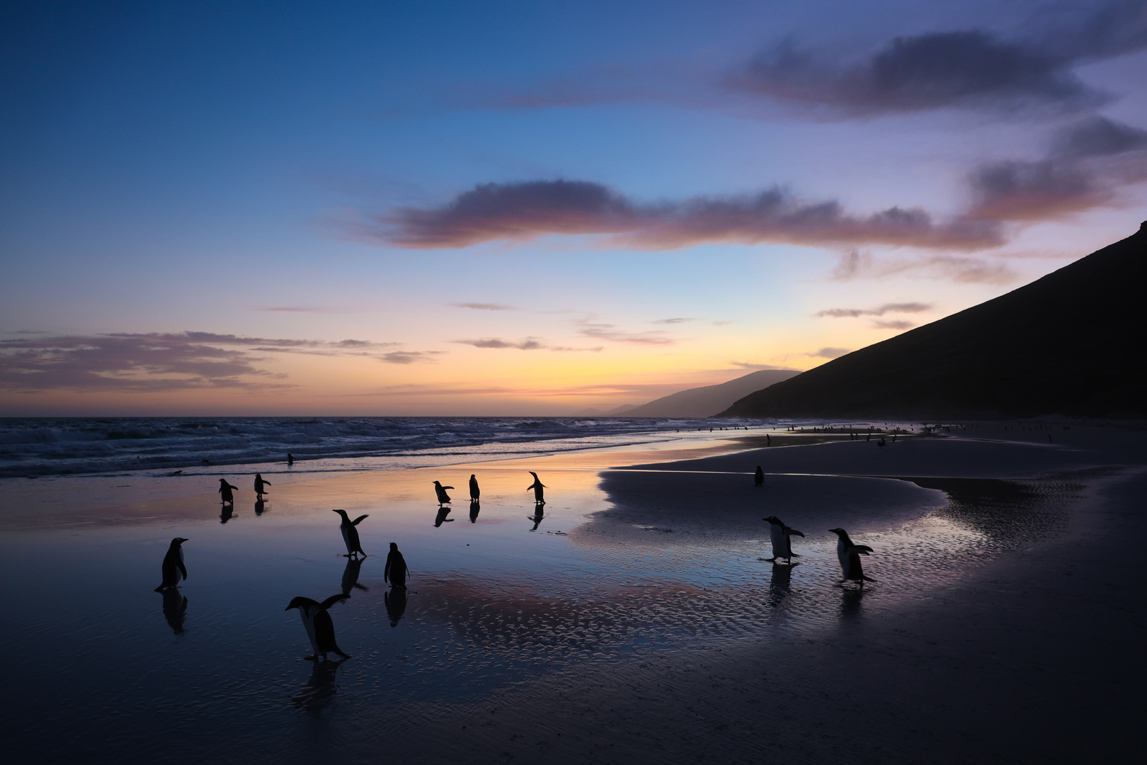 Blaue Stunde auf Saunders Island