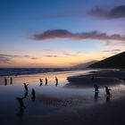 Blaue Stunde auf Saunders Island