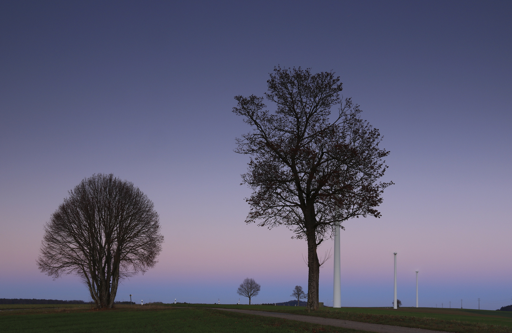 Blaue Stunde auf windiger Anhöhe