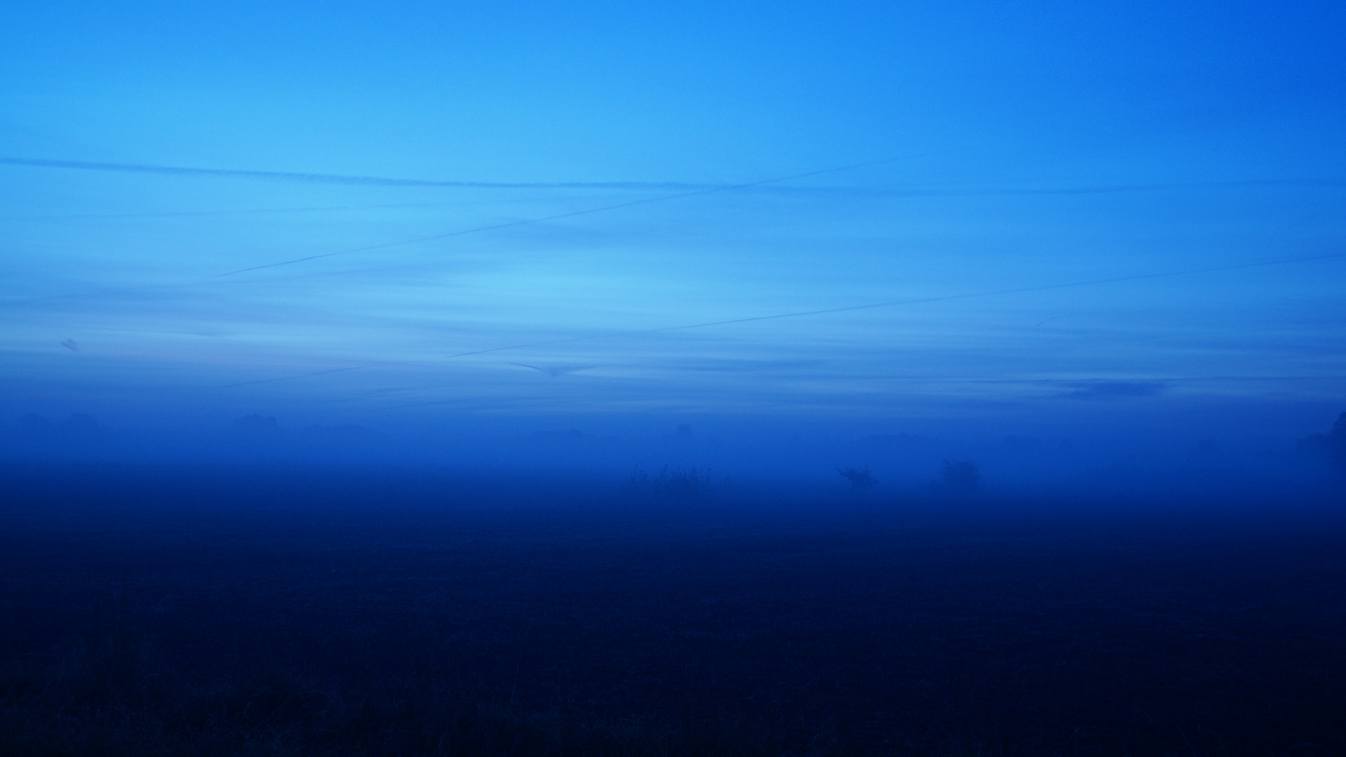 Blaue Stunde bei Nebel