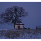 Blaue Stunde bei St. Gertraudis