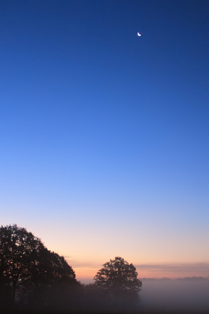 blaue Stunde - blue hour