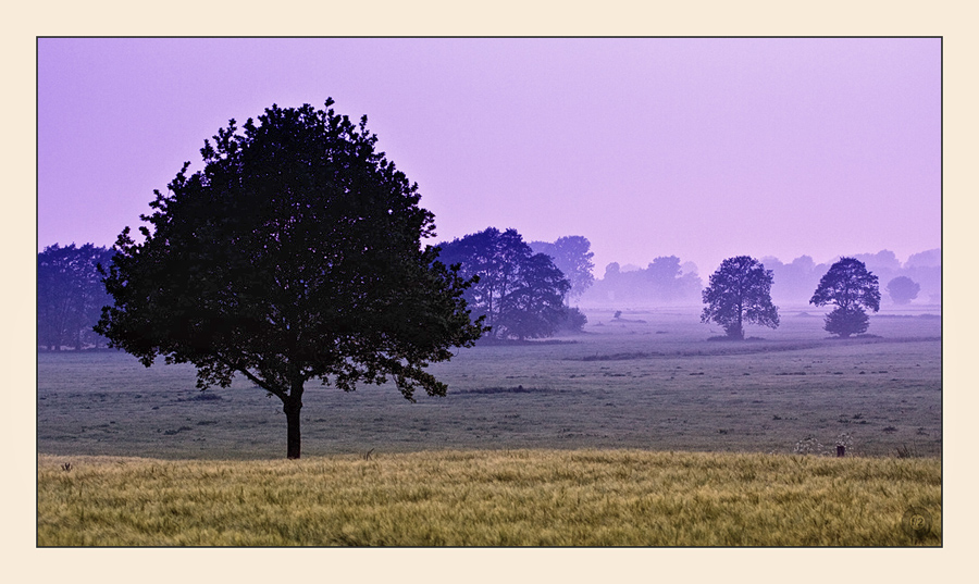 Blaue Stunde