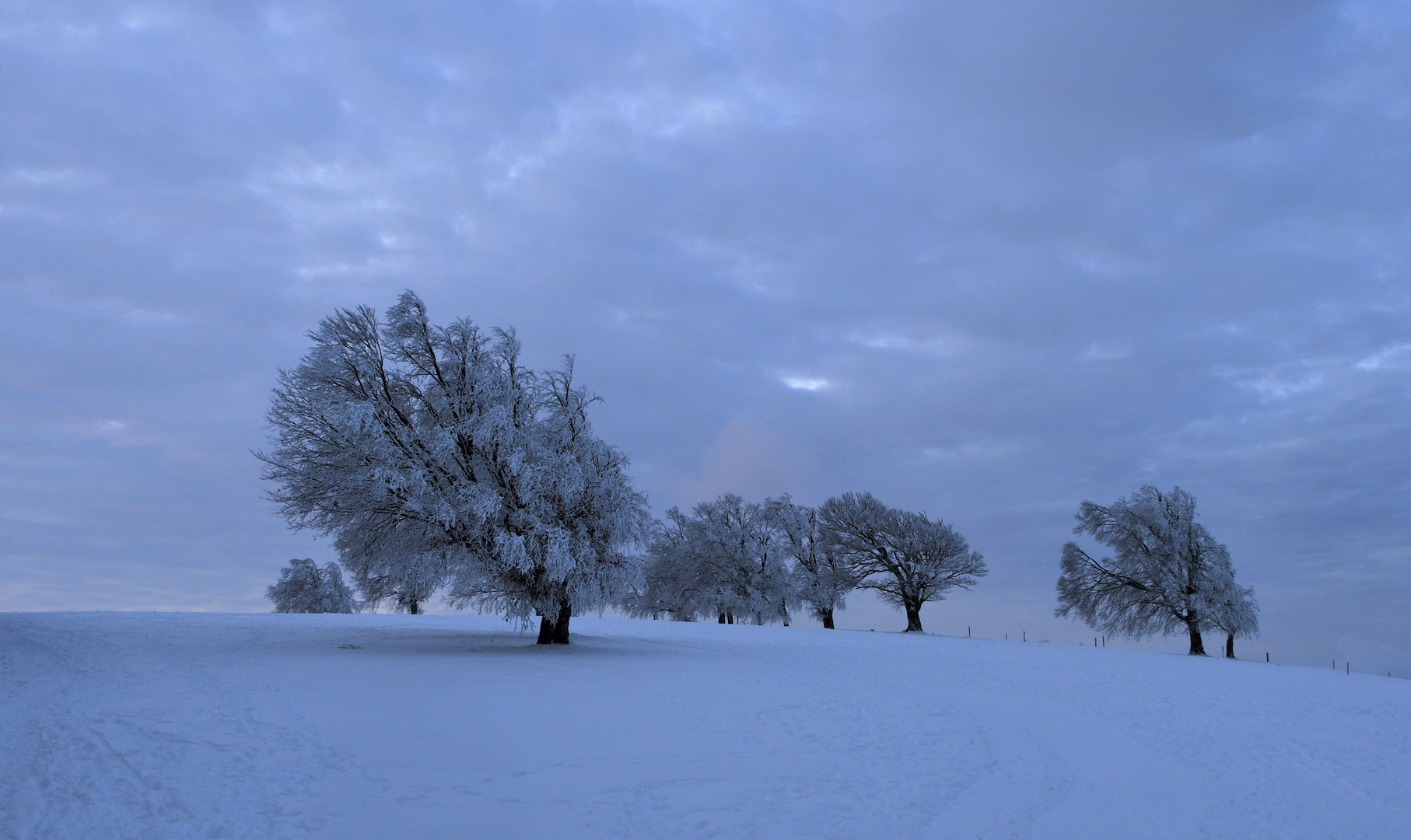 Blaue Stunde