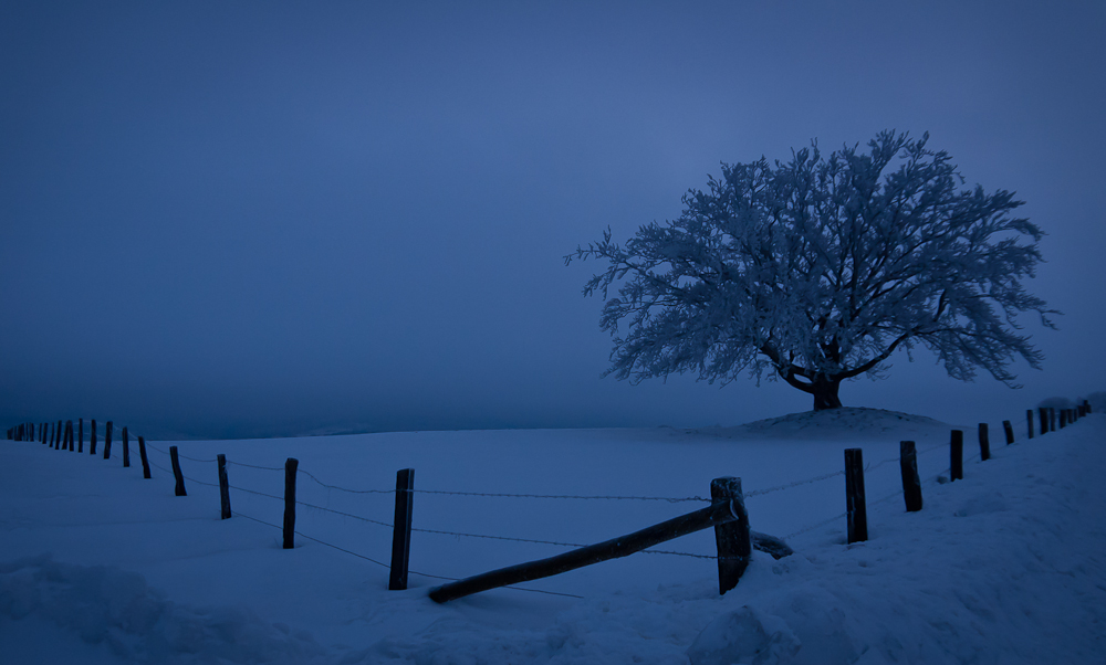 Blaue Stunde