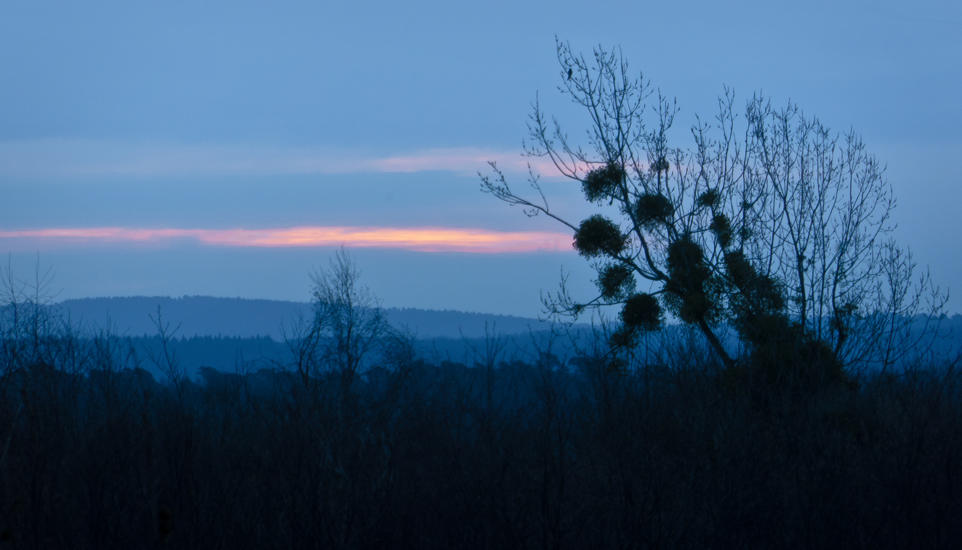 Blaue Stunde