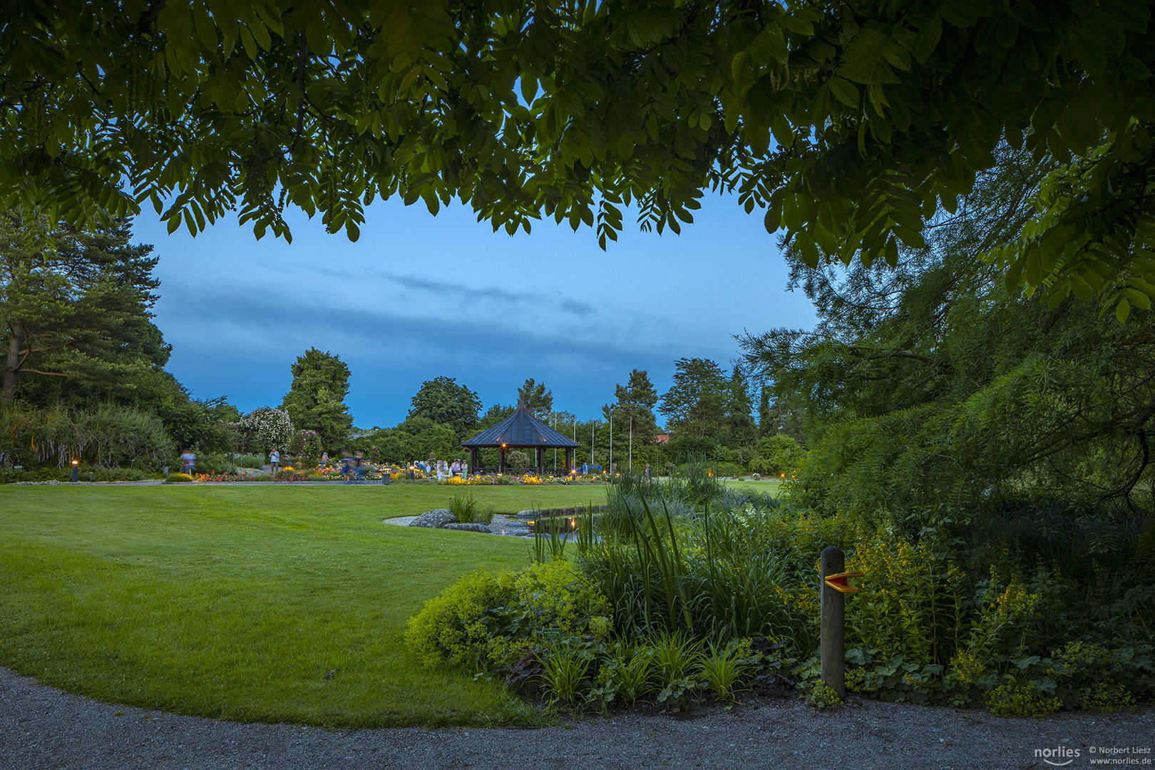 Blaue Stunde im Botanischen Garten