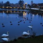 Blaue Stunde im Fischhofpark Tirschenreuth - 7. Januar 2016