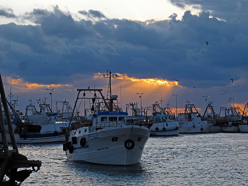 Blaue Stunde im Hafen / L'ora blu al porto