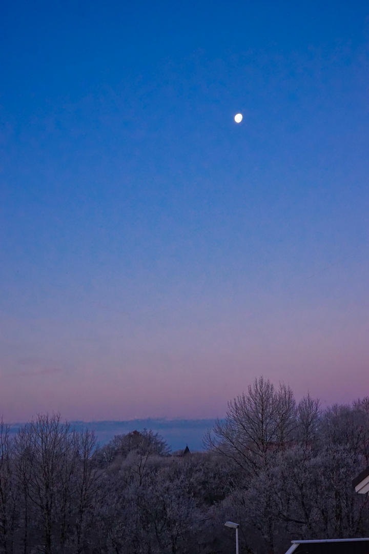 Blaue Stunde im Harz