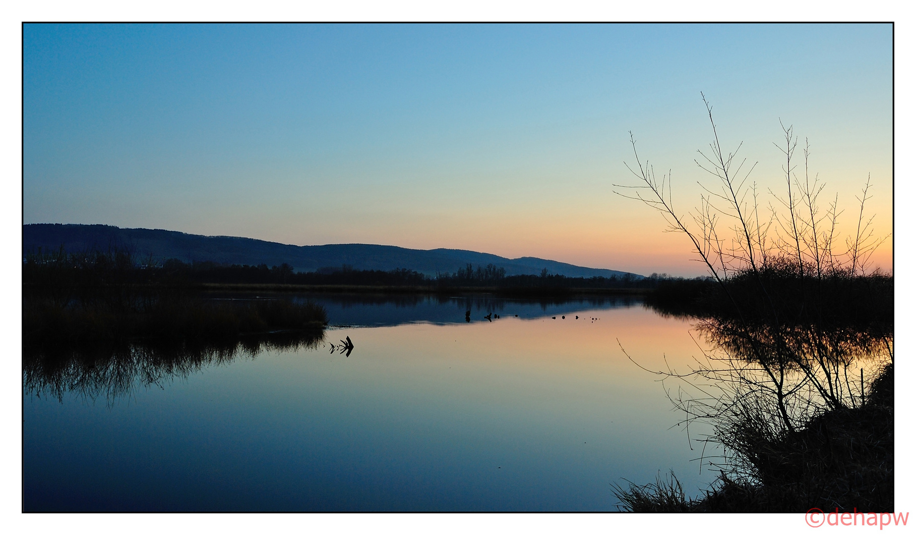 blaue Stunde im Hiller Moor