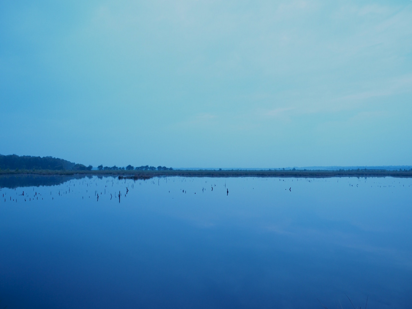 Blaue Stunde im Himmelmoor