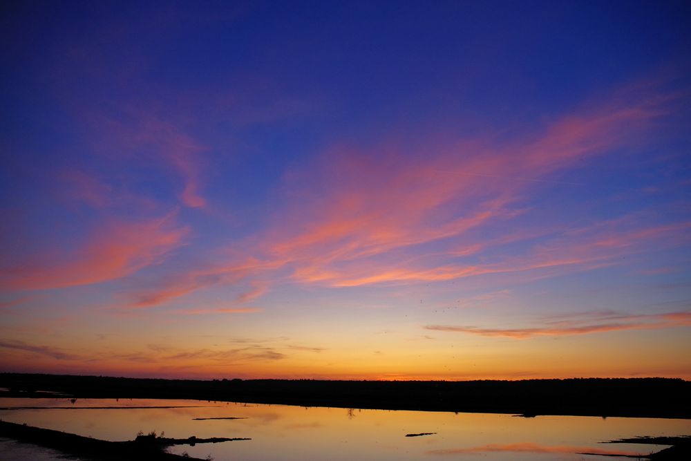 blaue Stunde im Himmelmoor