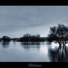 Blaue Stunde im Hochwasser der Elbe