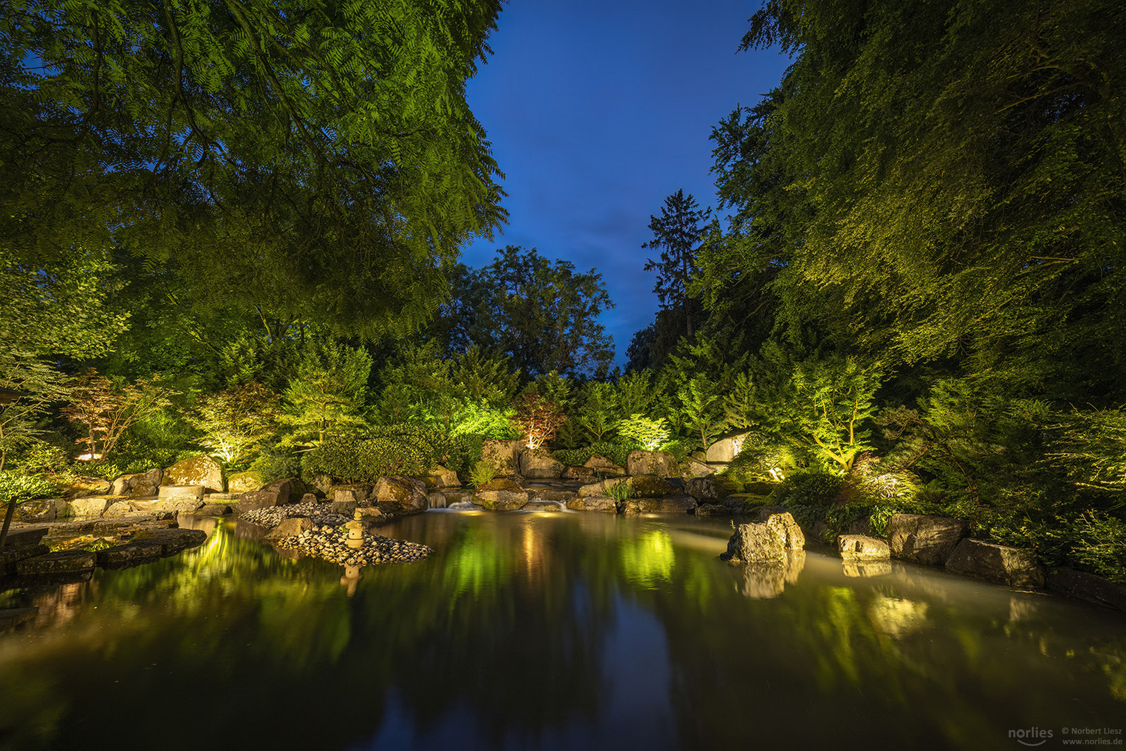 Blaue Stunde im Japangarten