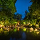 Blaue Stunde im Japangarten