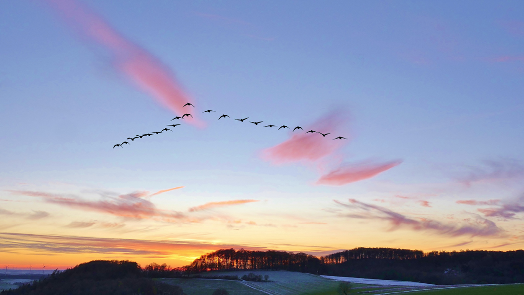 Blaue Stunde im Knüllgebirge