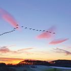 Blaue Stunde im Knüllgebirge