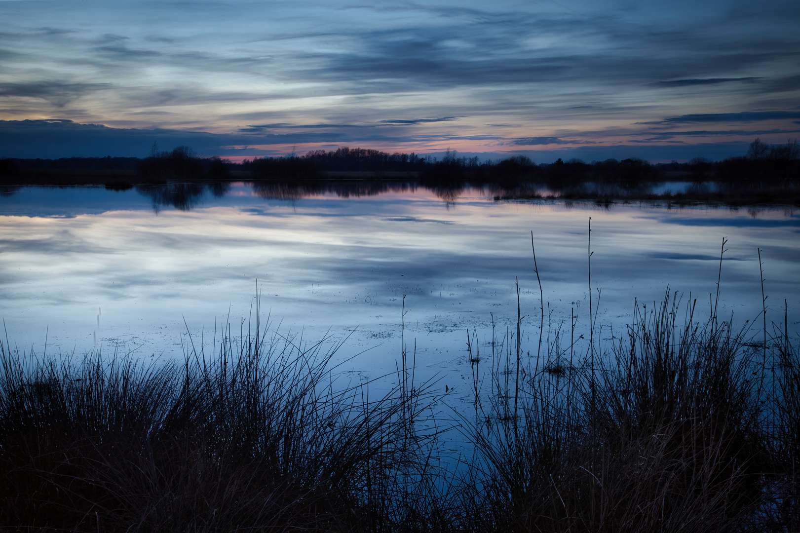 Blaue Stunde im Moor