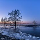 Blaue Stunde im Moor